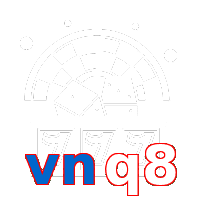 vnq8