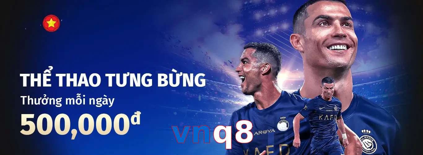 vnq8