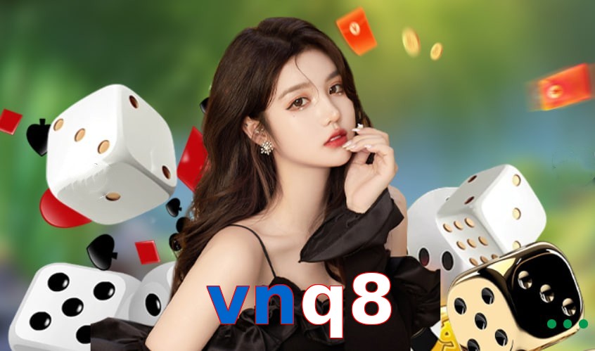 vnq8